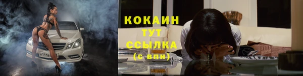 PSILOCYBIN Няндома