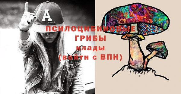 PSILOCYBIN Няндома
