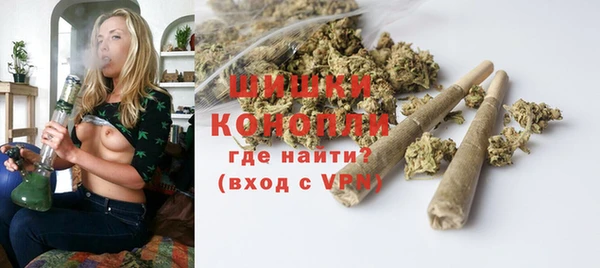 PSILOCYBIN Няндома