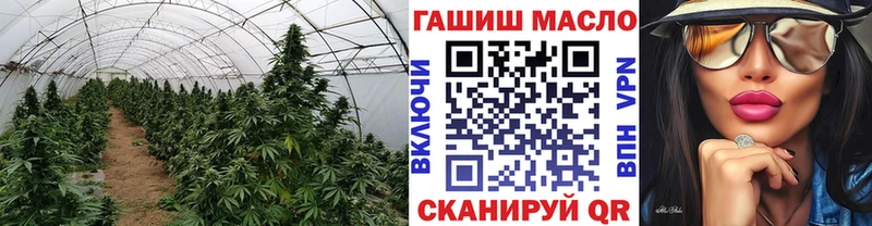 ТГК жижа  Купить закладки  Тында 