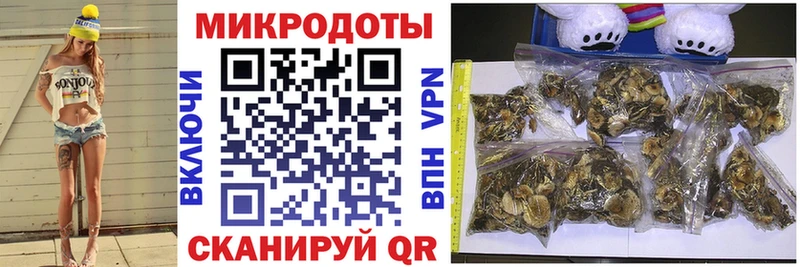 Купить закладки  Тында  Галлюциногенные грибы GOLDEN TEACHER 